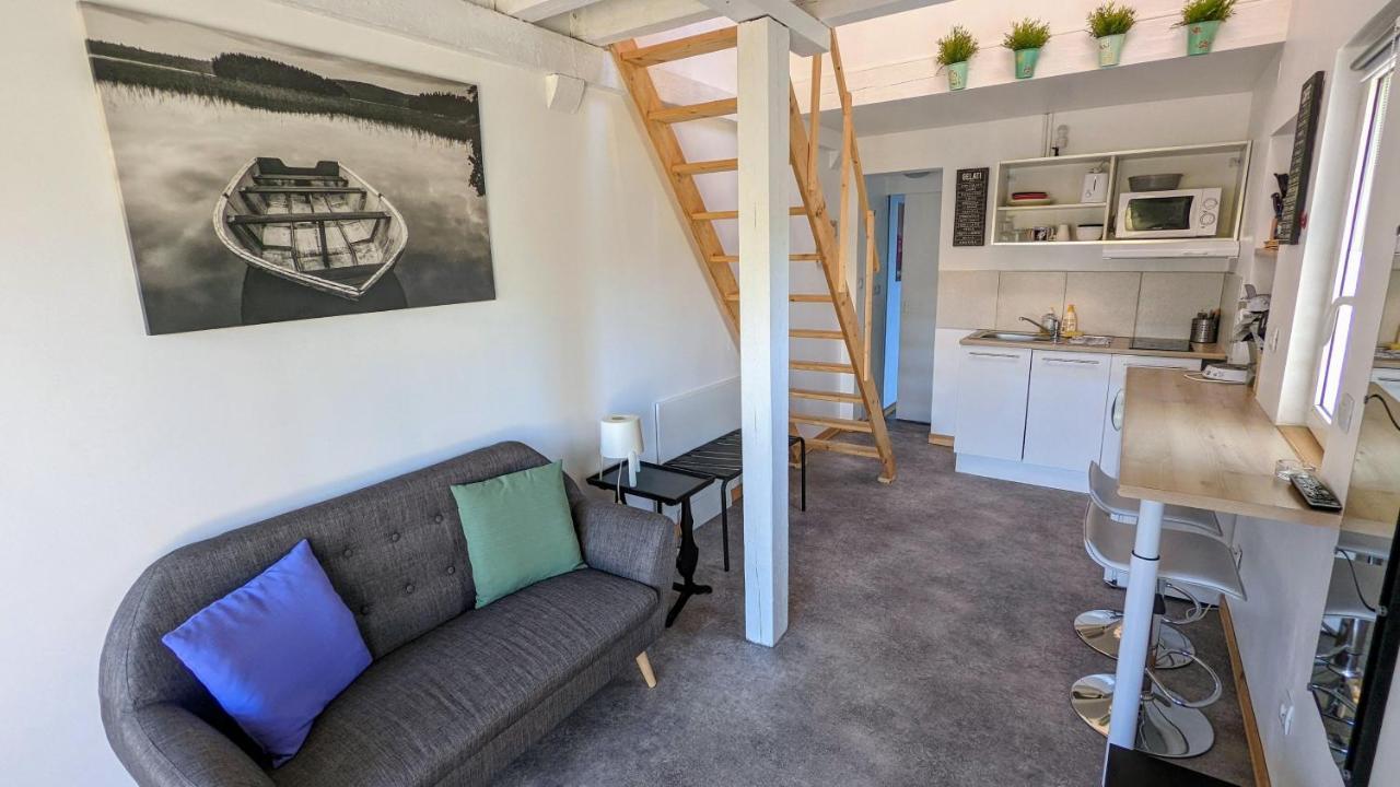 Studio Mezzanine Chez Papou, Ville Et Foret Strasbourg Eksteriør bilde